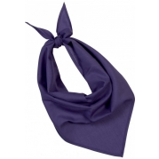 PS KP064 PURPLE