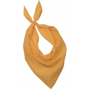 PS KP064 YELLOW